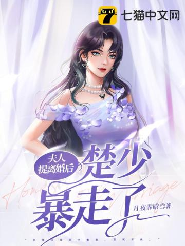 夫人离婚吧