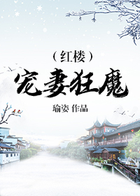 红楼宠妻狂魔雪烛锦灯笔趣阁