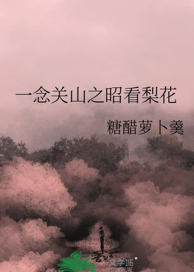 一念关山免费阅读