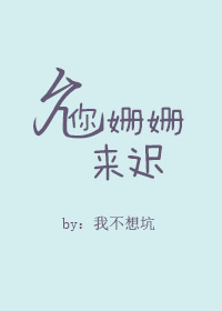 允你姗姗来迟 小说