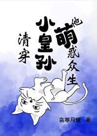 胎穿小皇孙