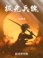 极光武士